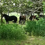 Holiday home Bobrowe Zacisze W Gorach Sokolich *