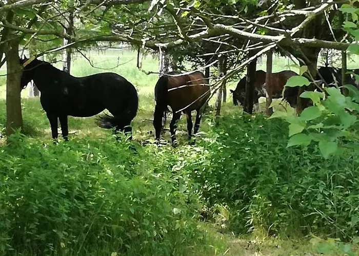 Semesterbostad Bobrowe Zacisze W Gorach Sokolich *
